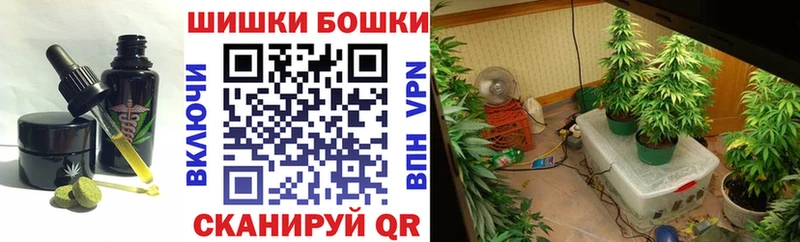 Canna-Cookies марихуана  Венёв 