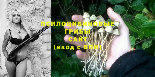 мяу мяу мука Лагань