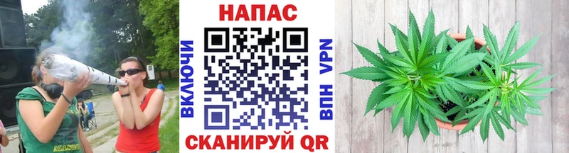 MEGA ссылка  Венёв  Канабис White Widow  где можно купить  